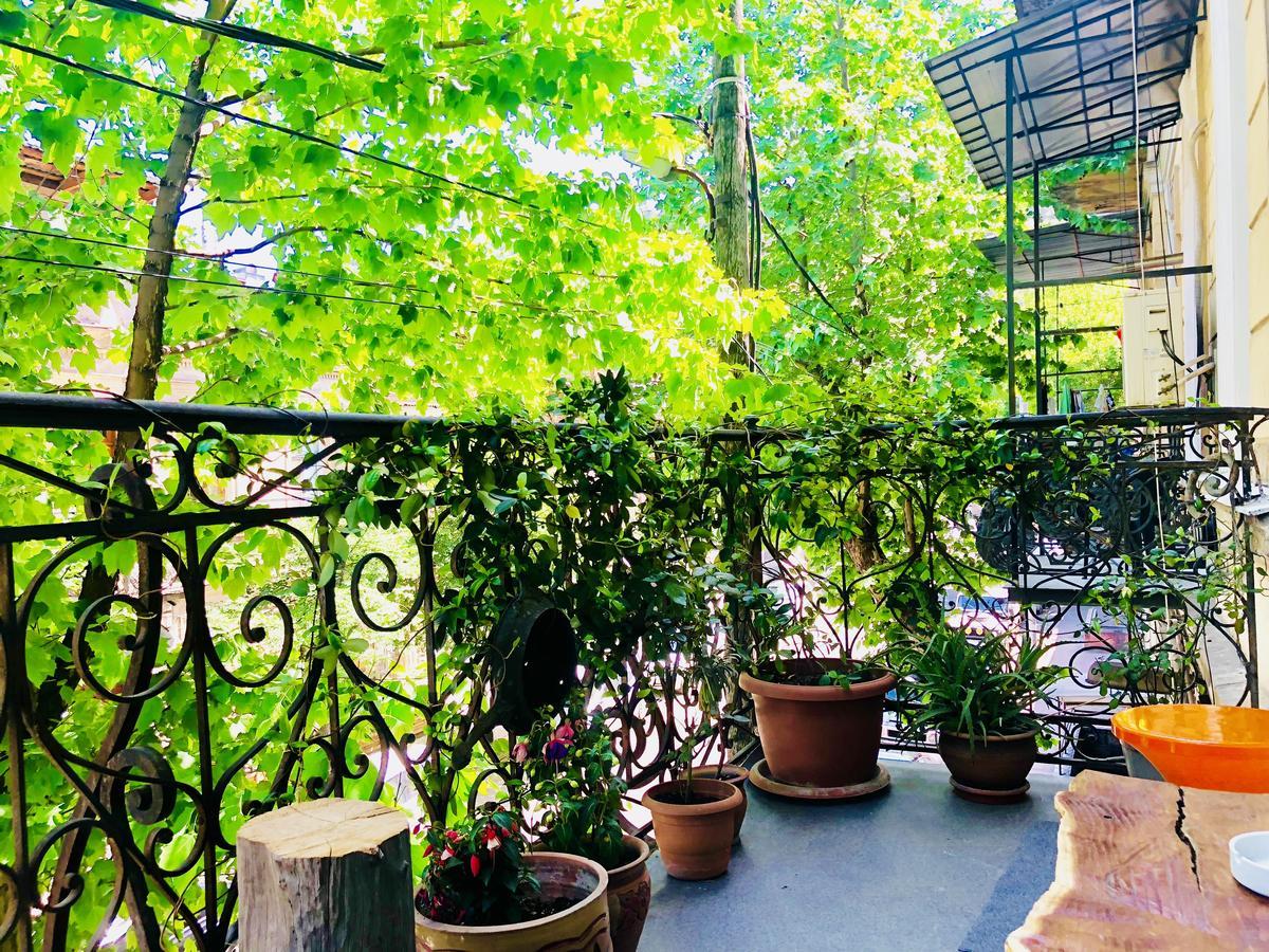 Apartment Heart Of Old Tbilisi